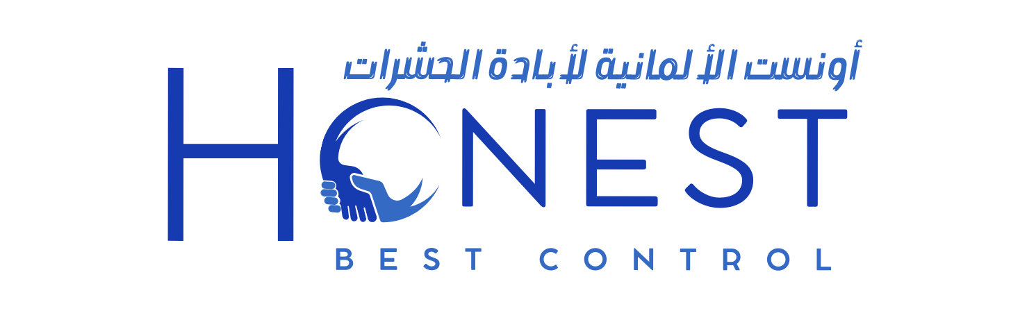 blue flat illustrative finance company logo (2)